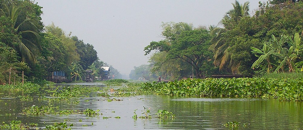 En bateau le long du canal (klong) à Mahasawat