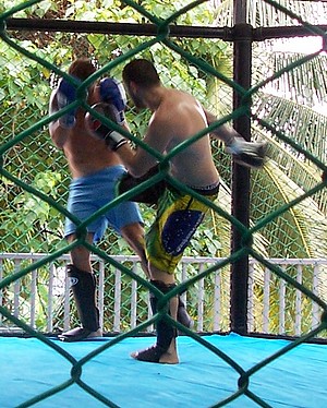 entraînement au MMA en Thailande