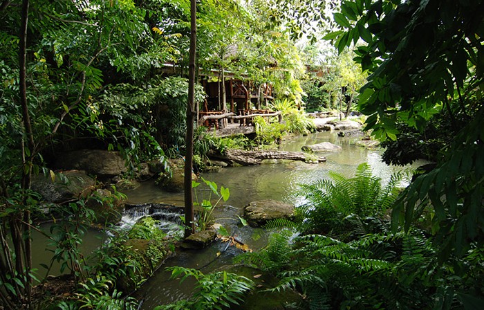 Jardin tropical de Tamnanpar