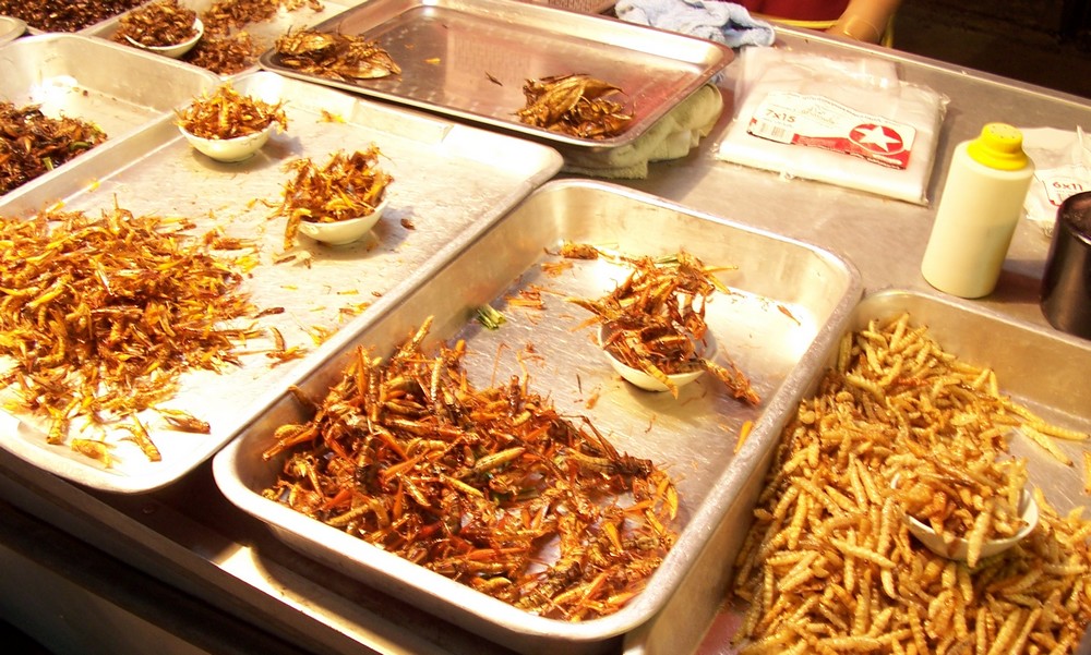 Insectes à manger en Thailande