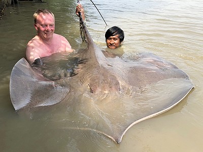 Pêche à la raie géante d'eau douce en rivière en Thaïlande
