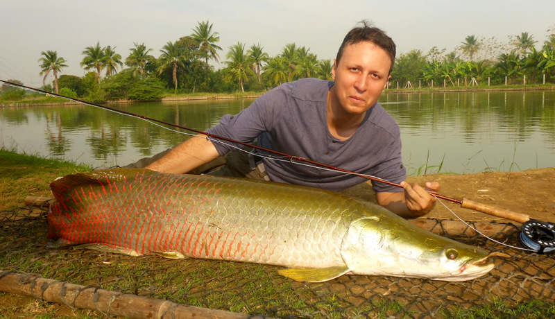 Pêche d'un arapaïma au lac Kampaeng Sen en Thaïlande