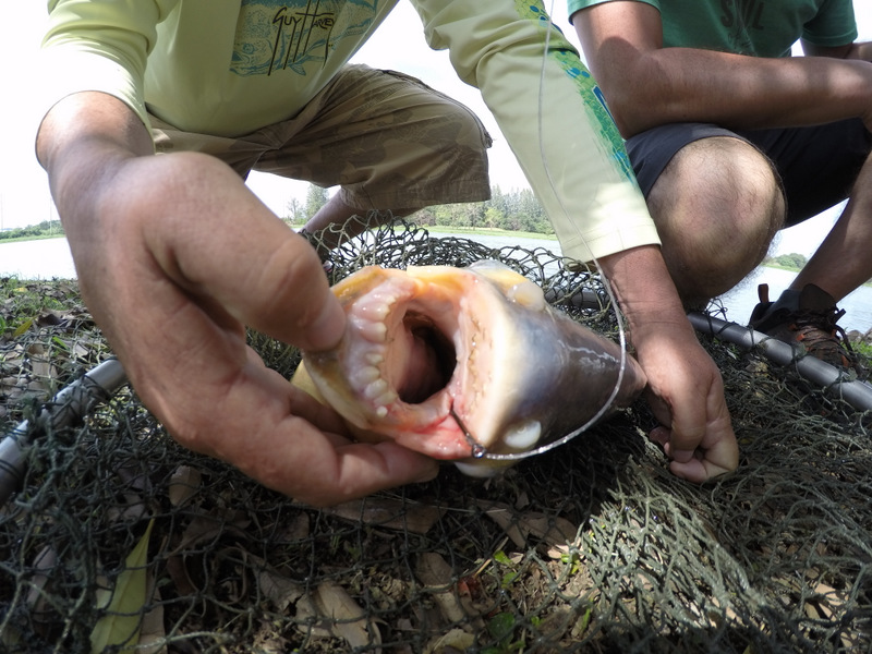 Pêche en Thaïlande