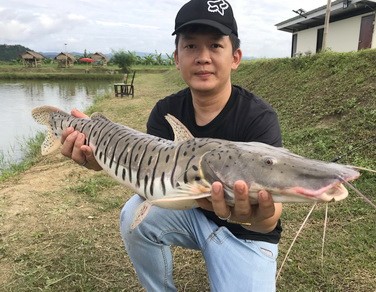 pêche en lac à Chiang Mai
