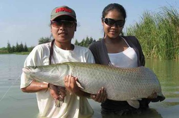 pêche en lac près de Bangkok en Thailande