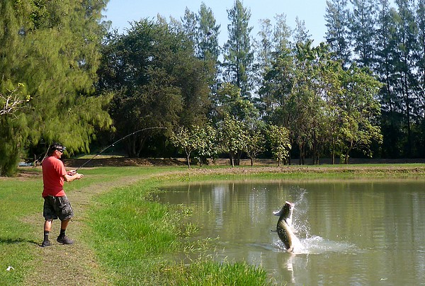 Pêche aux carnassiers en Thailande