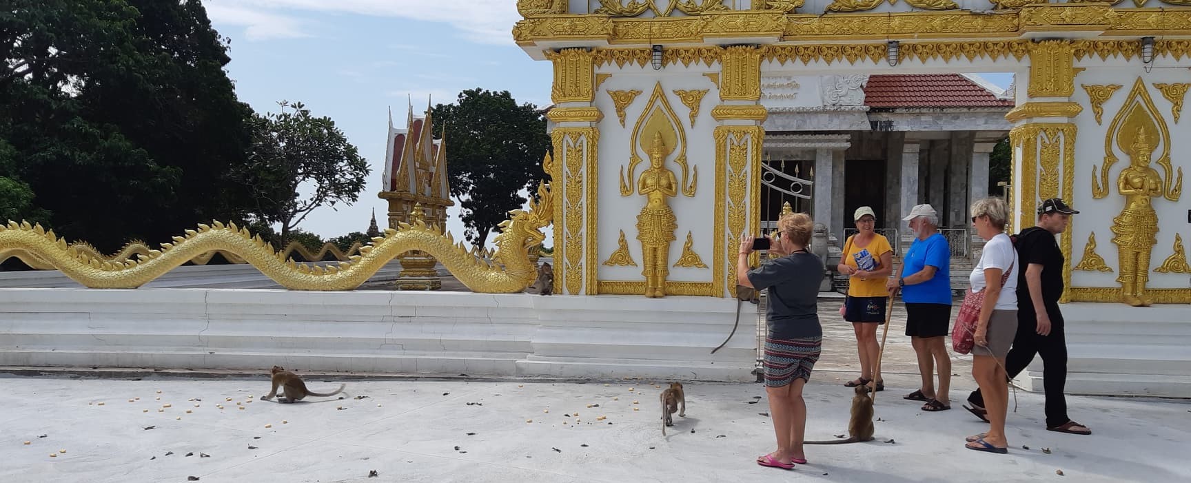 Temple avec des singes, en Thailande dans la province de Rayong