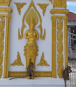 Temple et singes en Thalande
