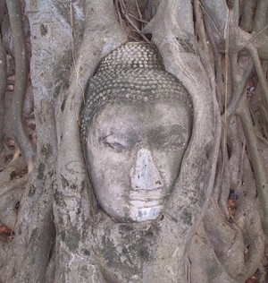 Bouddha à Ayutthaya