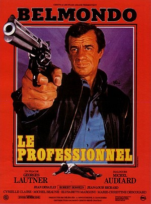 Affiche du Professionnel