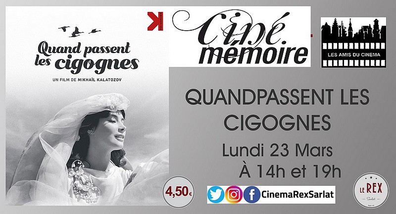 Affiche de Quand passent les cigognes